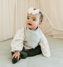 Load image into Gallery viewer, Rex Bandana Bib Set (4-pack)
