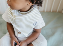 Load image into Gallery viewer, Rex Bandana Bib Set (4-pack)