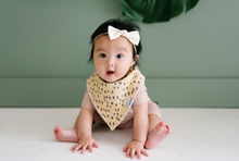 Load image into Gallery viewer, Aussie Bandana Bib Set (4-pack)