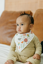 Load image into Gallery viewer, Farmstead Bandana Bib Set (4-pack)