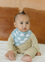 Load image into Gallery viewer, Farmstead Bandana Bib Set (4-pack)