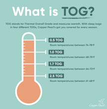 Load image into Gallery viewer, Enchanted Sleep Bag
