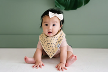 Load image into Gallery viewer, Aussie Bandana Bib Set (4-pack)
